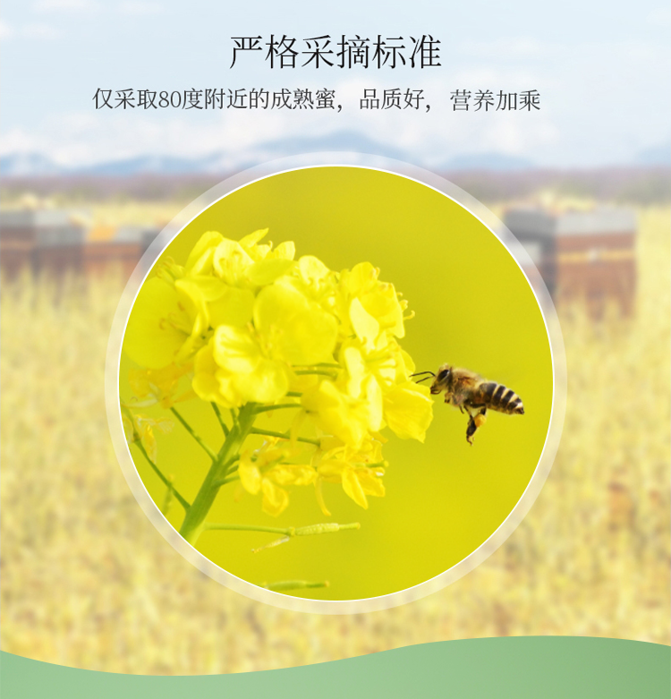 油菜蜂蜜详情页_06.png